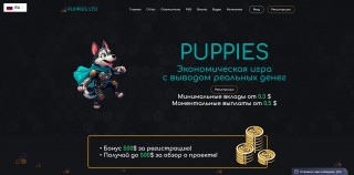 Puppies